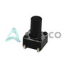 CS11029.5F100J