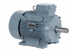 Squirrel Cage Induction Motor: Vinnureglur, gerðir, kostir og forrit